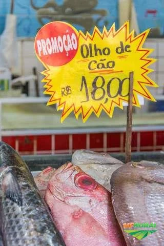 Compre SÃO PEDRO- Peixe fresco em casa