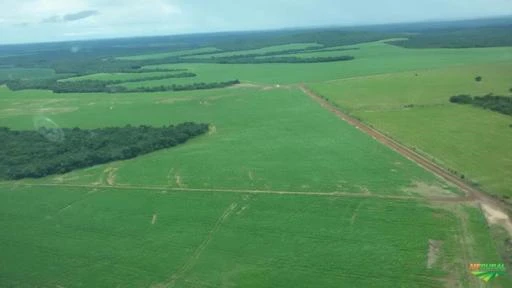 Fazenda Paranatinga Mato Grosso 33.000 Hectares