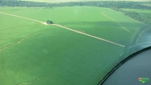 Fazenda Paranatinga Mato Grosso 33.000 Hectares