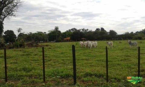 fazendas no paraguai