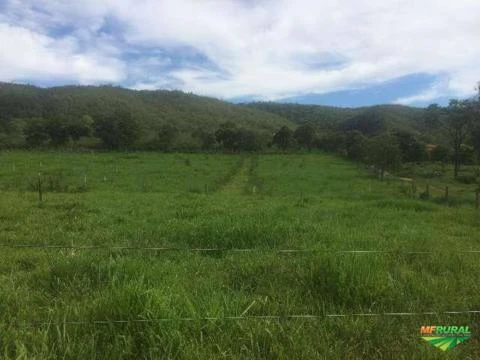 Vende-se fazenda de 485 ha - Brasilândia de Minas - MG