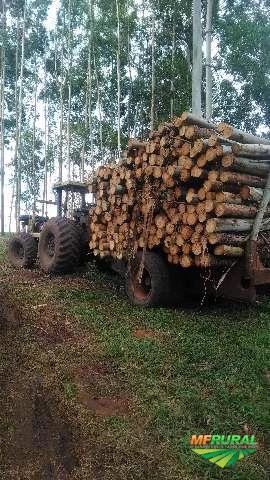 Transportes de madeiras