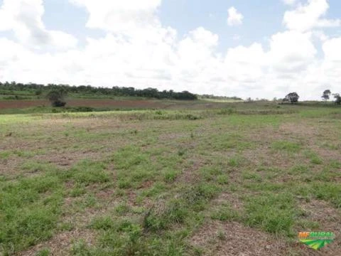 Arrendamento de Fazenda no Paraguay para Pecuária ( Criar, Recriar, Engordar 8.000 Cabeças de Gado )