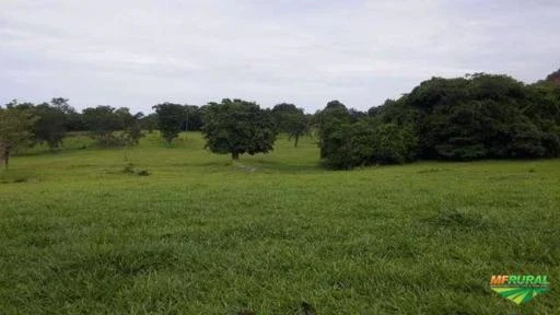 Fazenda 1155 Hectares com Benfeitorias no Mato Grosso do Sul em Coxim