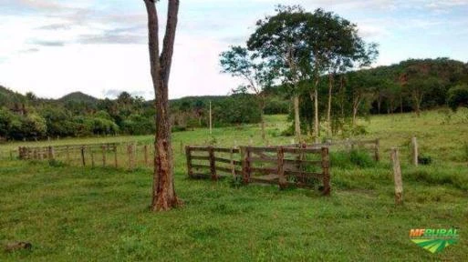 Fazenda 1155 Hectares com Benfeitorias no Mato Grosso do Sul em Coxim