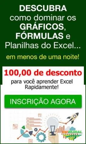 Curso de Excel Online (Completo)