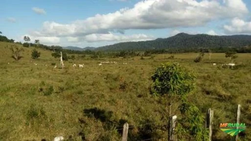 Fazenda 192ha com rio cortando propriedade - Santa Luzia / Bahia