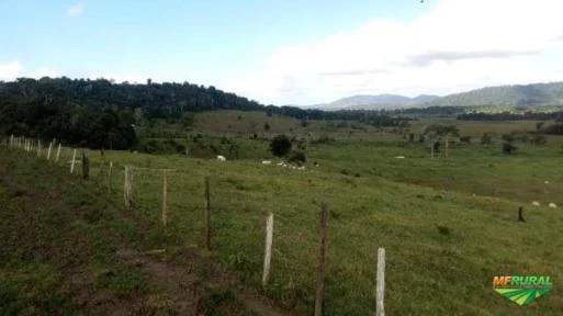 Fazenda 192ha com rio cortando propriedade - Santa Luzia / Bahia
