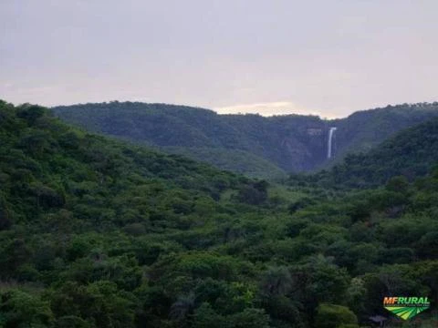 Área para Compensação de reserva legal - Bioma Cerrado e Mata Atlântica