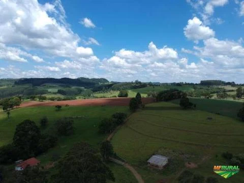 Fazenda Ortigueira - Caetes