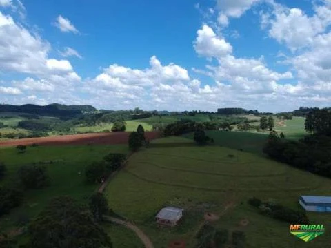 Fazenda Ortigueira - Caetes