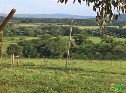 Fazenda em Santa Bárbara do Pará