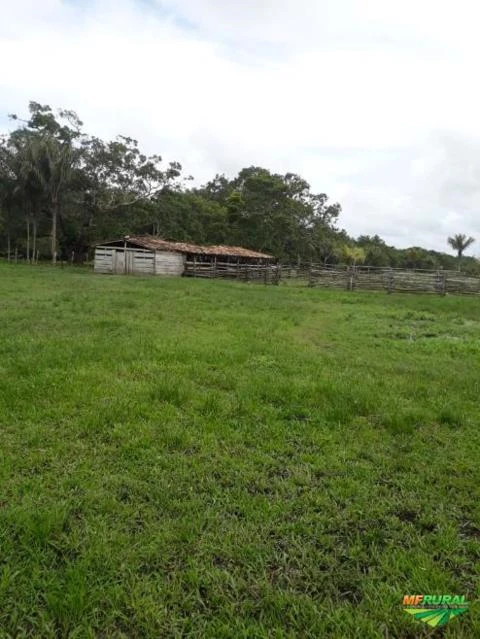 Fazenda em Muaná-Pa