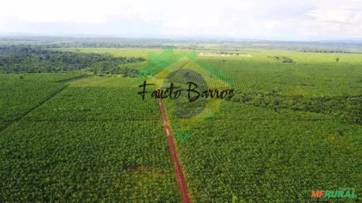 Fazenda à venda no Baixo Tocantins, entre Baião e Mocajuba - Pará - 3.000 hectares