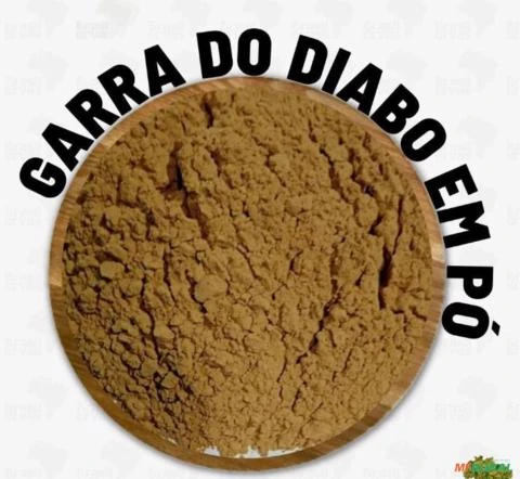 GARRA DO DIABO PÓ