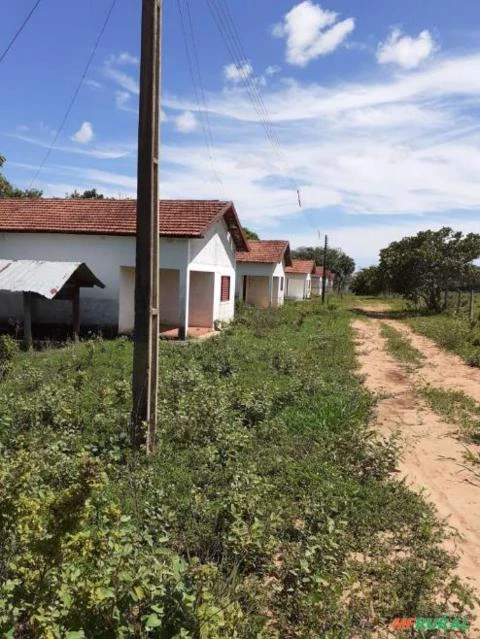 Fazenda para Arrendamento em Santo Antônio do Leste - MT área rural Ref. FA0190