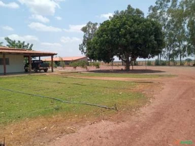Fazenda em Uruçuí - PI área rural referência FA0219