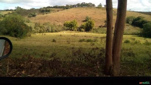 Arrendo terreno com 40 hectares em Ibertioga MG