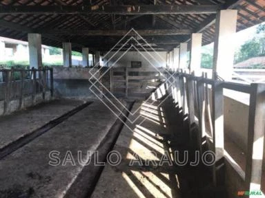Fazenda para pecuária de corte, localizada no Município de Paraíba do Sul
