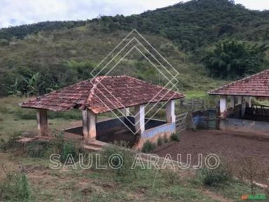 Fazenda para pecuária de corte, localizada no Município de Paraíba do Sul