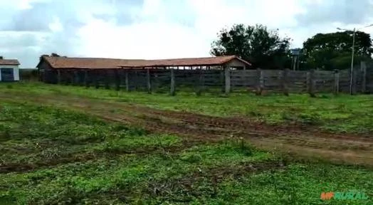 Fazenda de 4520 hectares em Arinos MG