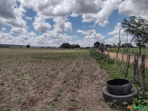Vende-se um terreno medindo 25 tarefas/Hectares no Mauriti Ceará