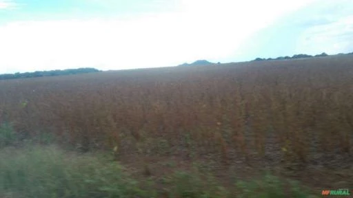 Fazenda em Confresa - MT com 39000 Hectares