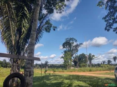 Chácara na linha 67 Porto Velho Rondônia