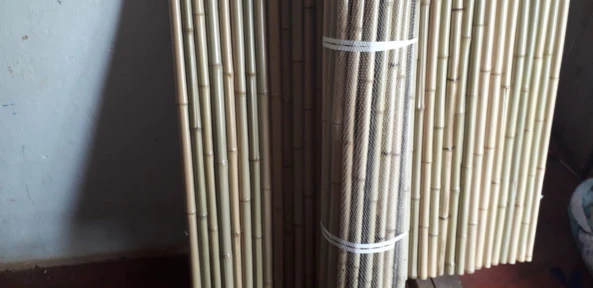 bambu tratado