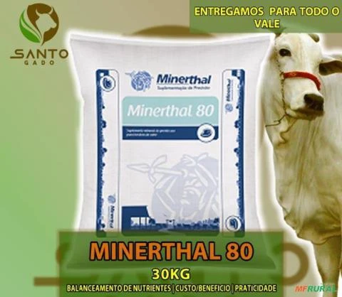 Minerthal 80