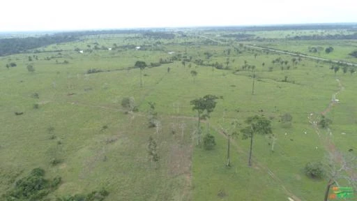 Fazenda Município próximo   Rondônia, fazenda 150 mil hectares