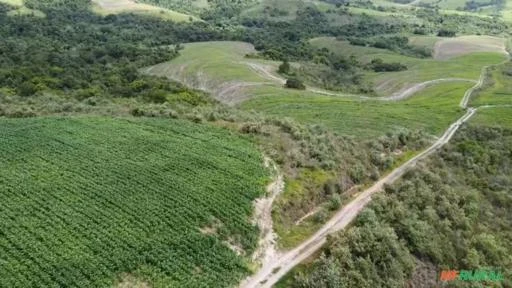 Fazenda na região de Botucatu-SP.