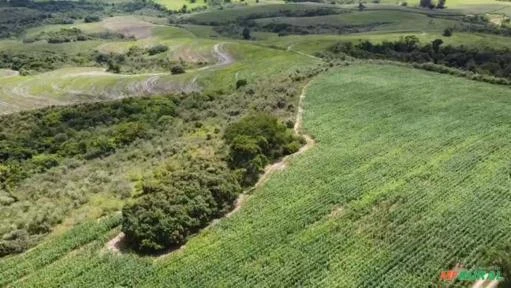 Fazenda na região de Botucatu-SP.