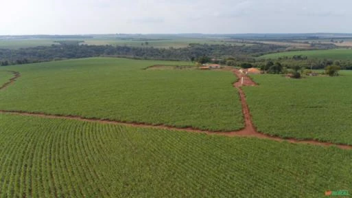 Fazenda com 80 alqueires para agricultura, região de Avaré-SP