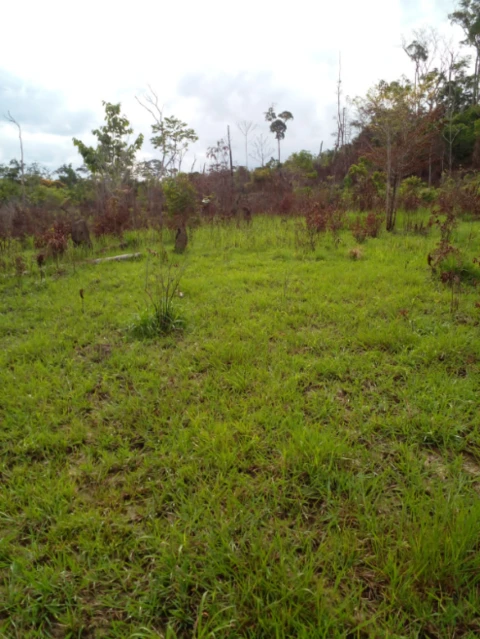 Terrenos com 126 hectares