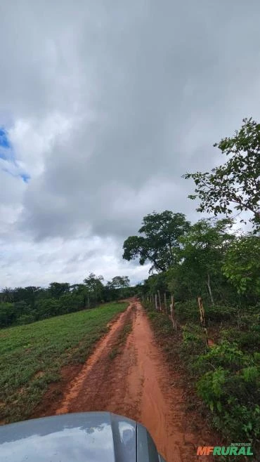 Fazenda com 35 ha, Norte de Minas Gerais, Mirabela