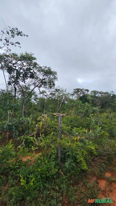 Fazenda com 38 ha, Norte de Minas Gerais, Mirabela