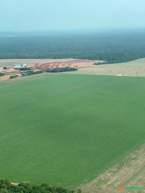 Fazenda no Mato Grosso com 85 mil hectares