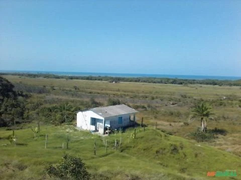 Fazenda na Bahia com 276 hectares