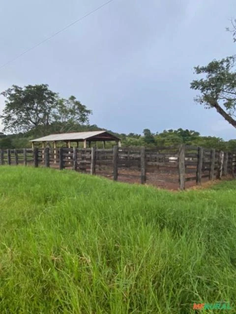 Fazenda para gado em Confresa MT