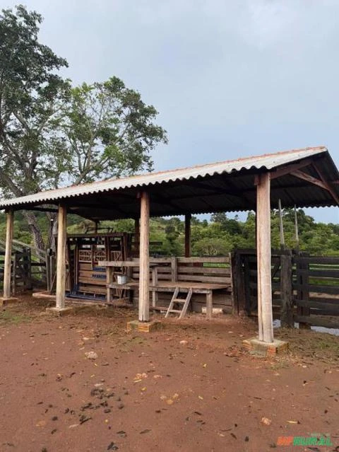 Fazenda para gado em Confresa MT