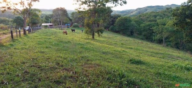 Fazenda para pecuária em Padre Bernardo GO