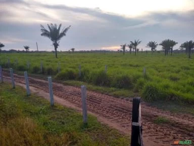 Vende-se Fazenda de 477 hectares em Iracema