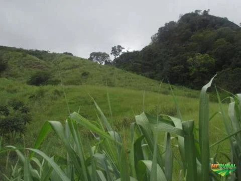 Sitio em Minas Gerais itanhomi