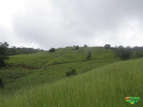 Sitio em Minas Gerais itanhomi