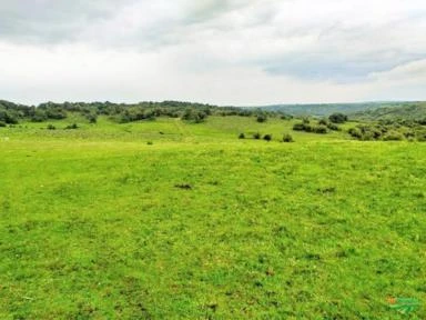 Fazenda no Rio Grande do Sul-Especial para pecuária- 280 hectares