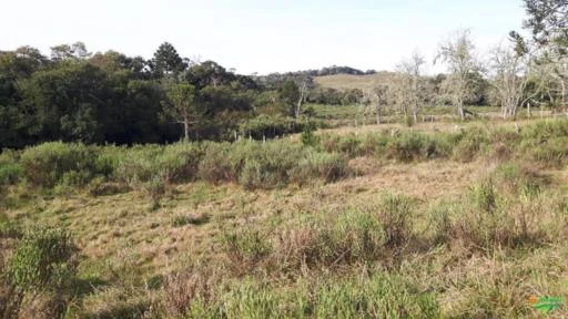 Fazenda em Bom Retiro /SC , 370 hectares as margens de uma Rodovia