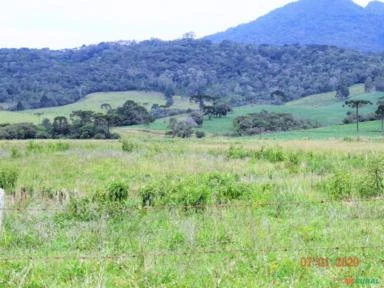 Fazenda em Bom Retiro -Serra Catarinense- 1388 hectares
