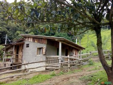 Sitio em Alfredo Wagner- Serra Catarinense- 25 hectares