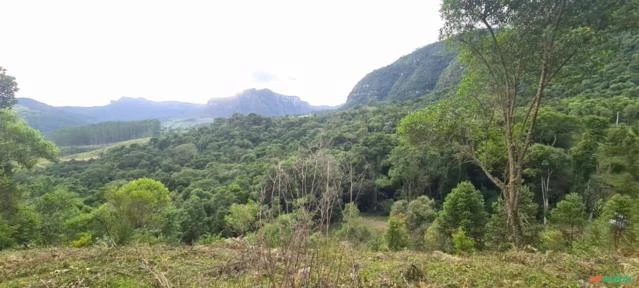 Alfredo Wagner- Serra Catarinense -Área rural com 40000 m² a 1000 de altitude